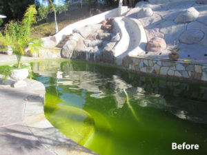 Green Pool Before Pool Service