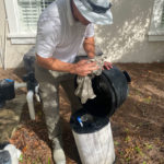 man cleaning pool filter
